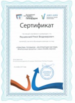 Сертификат Якушевский Р.В-Академия Новой Экономики